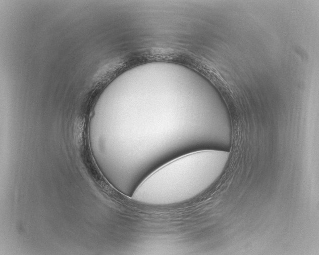 X0000116770742200912171130