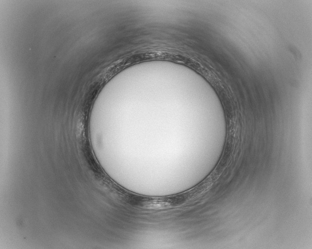 X0000116770754200912171130