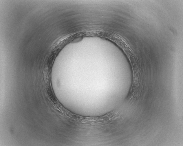 X0000116770773200912171130