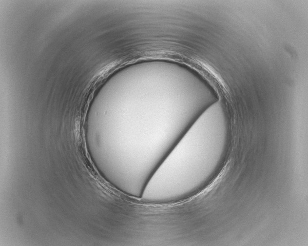 X0000116770777200912171130
