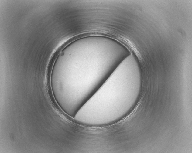 X0000116770780200912171130