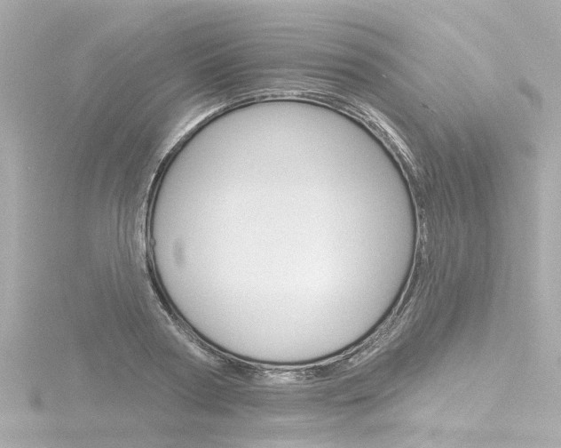 X0000116770794200912171129