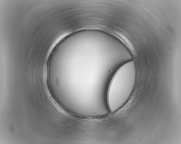 X0000116770804200912171129