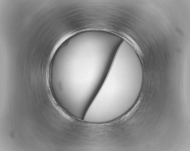 X0000116770812200912171129