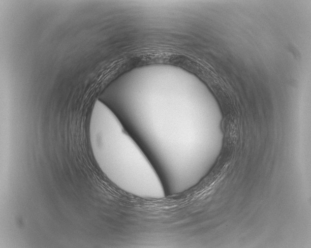 X0000116770818200912171129