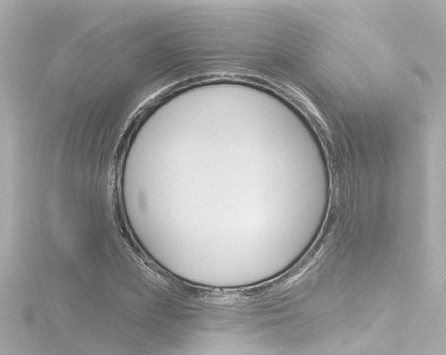 X0000116770831200912171129