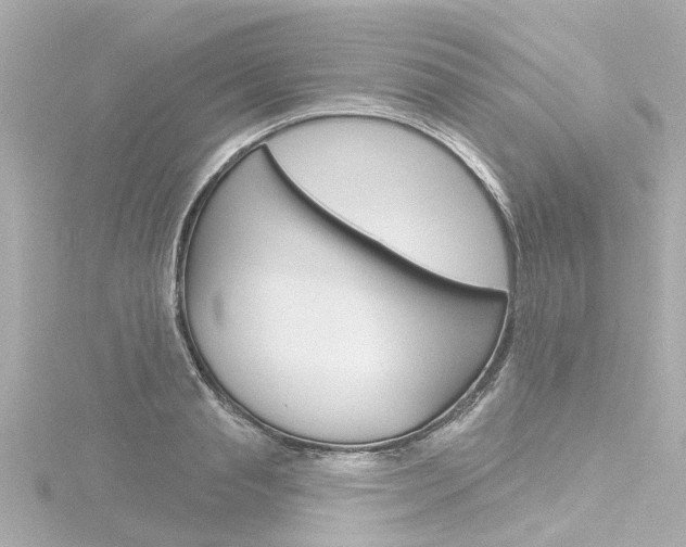 X0000116770845200912171129