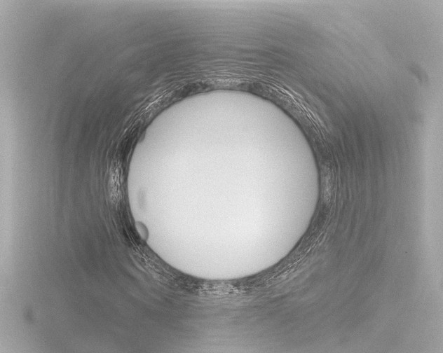 X0000116770866200912171128