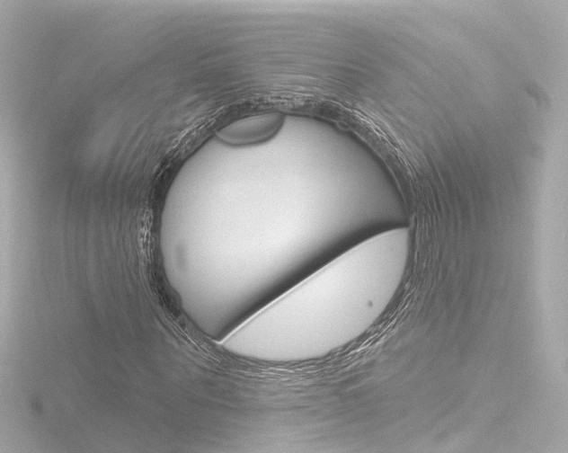 X0000116770867200912171128