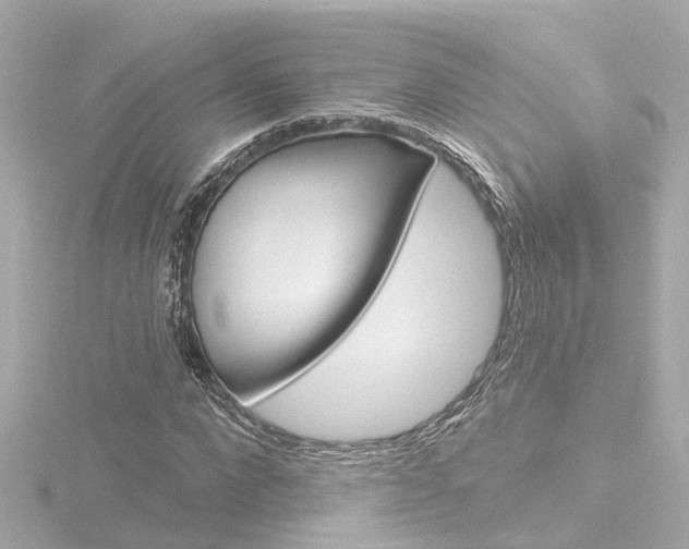 X0000116770872200912171128
