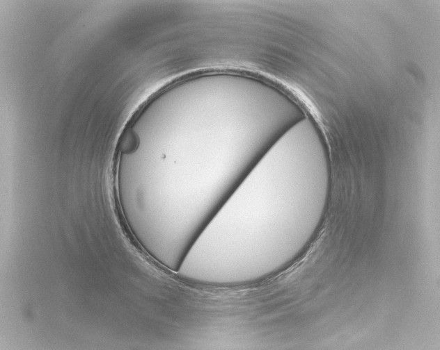 X0000116770895200912171128
