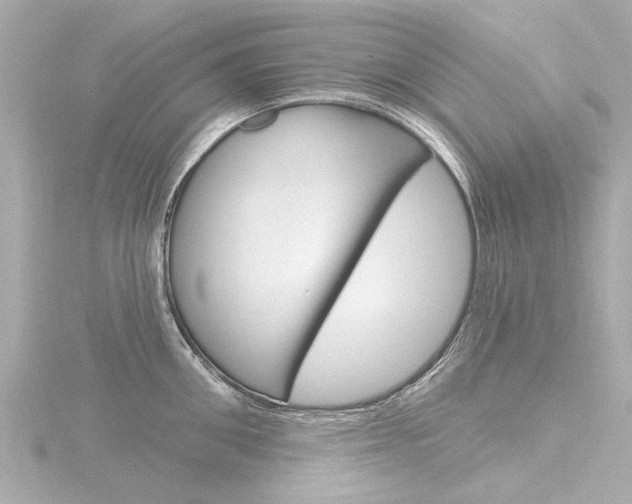 X0000116770906200912171128