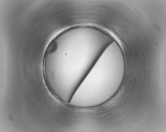 X0000116770951200912171128