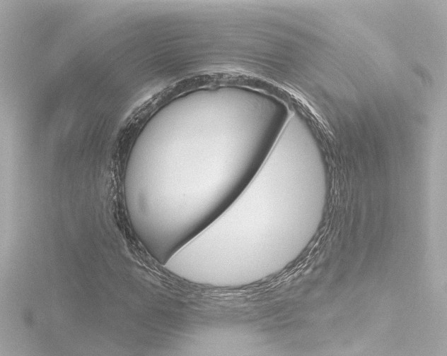 X0000116770967200912171127