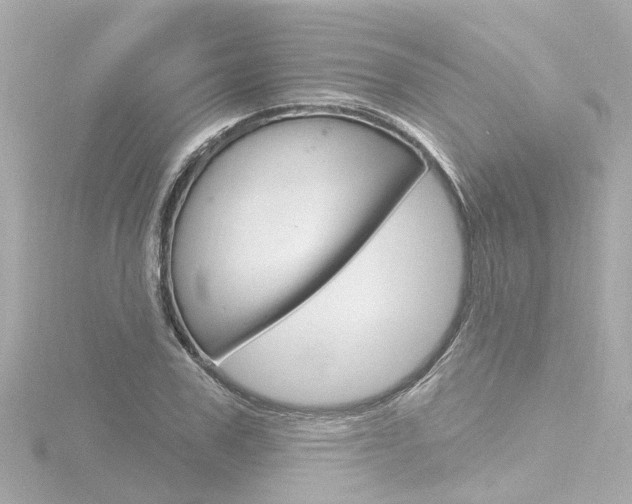 X0000116770979200912171127