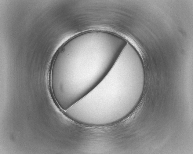 X0000116770999200912171127