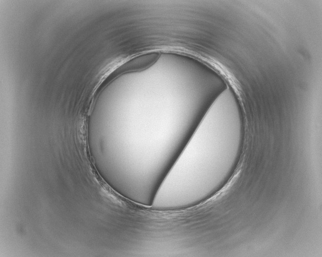 X0000116771001200912171127