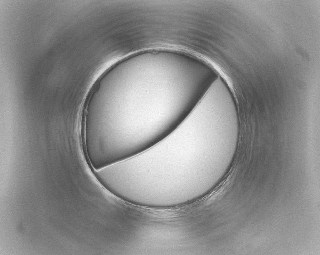 X0000116771007200912171127