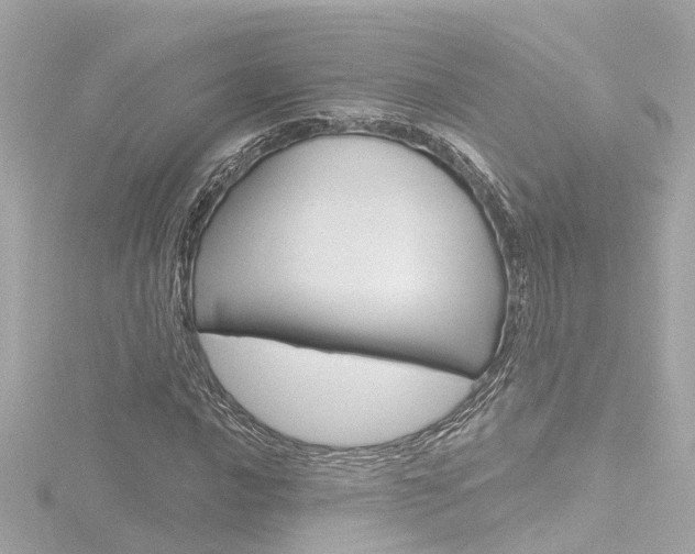 X0000116771016200912171126