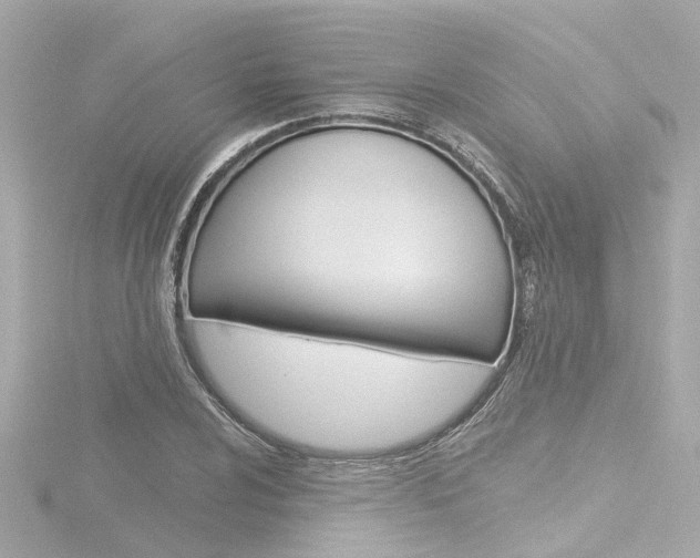 X0000116771024200912171126