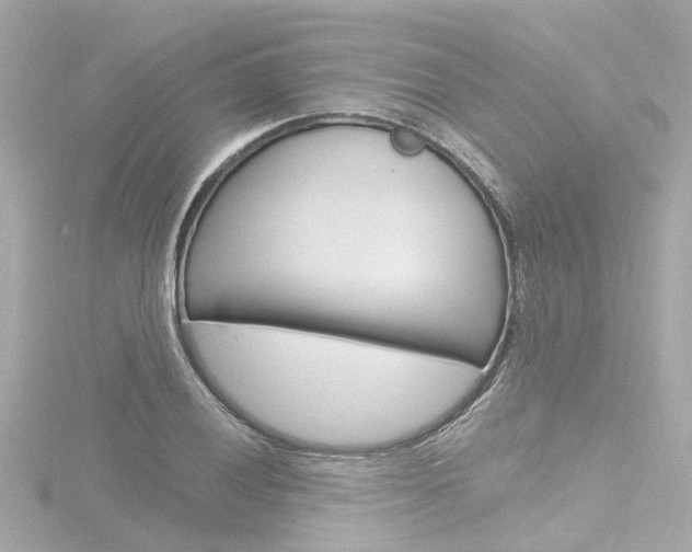 X0000116771028200912171126