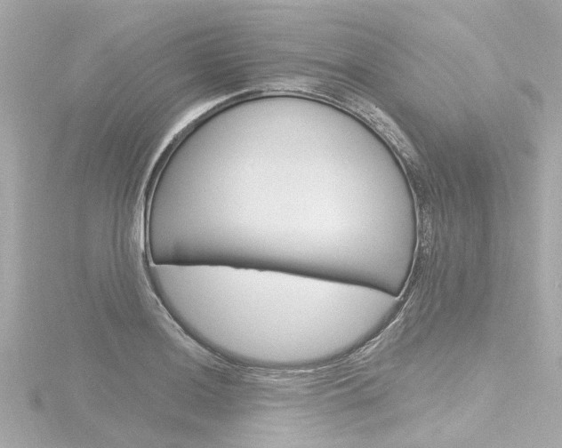X0000116771036200912171126