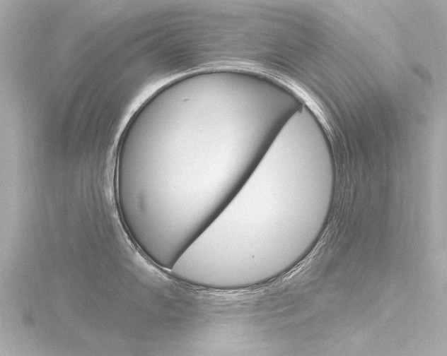 X0000116771102200912171125