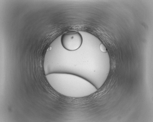 X0000116771106200912171125