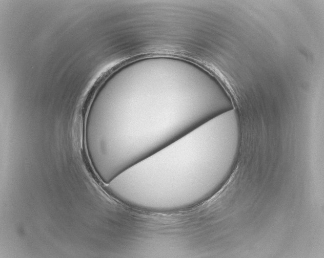 X0000116771123200912171125