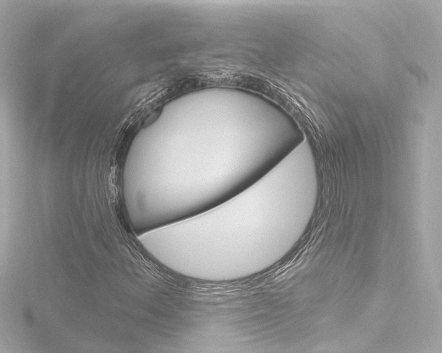 X0000116771156200912171125