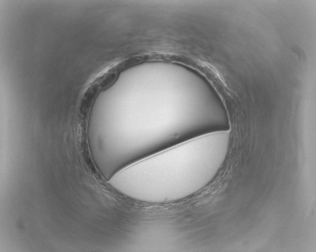 X0000116771159200912171125