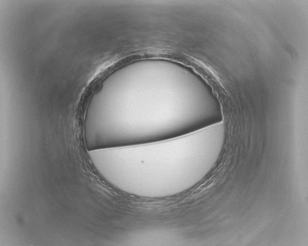 X0000116771160200912171125
