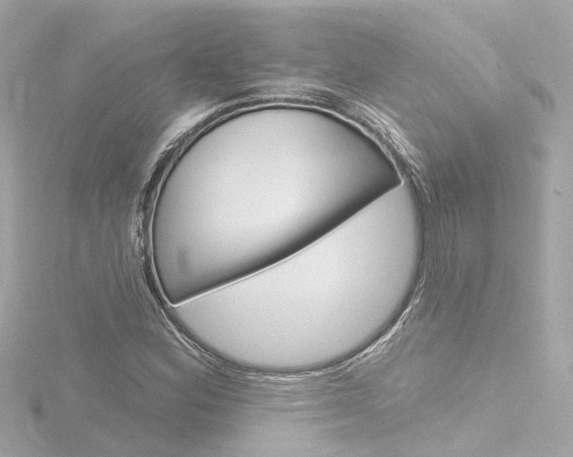 X0000116771164200912171125