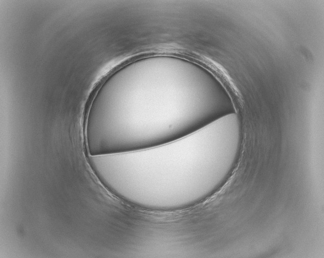 X0000116771176200912171124