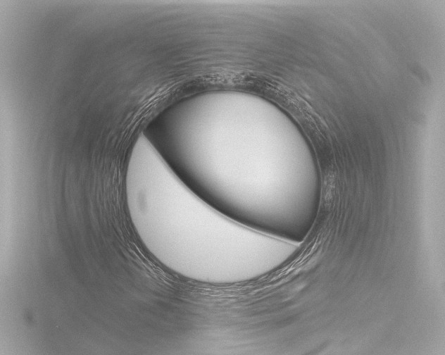 X0000116771202200912171124