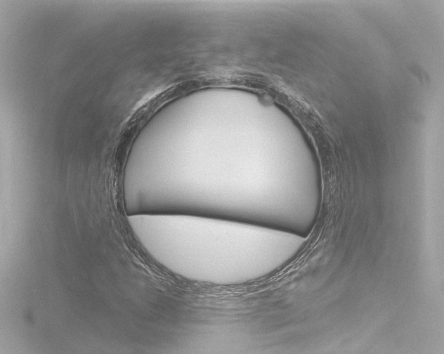 X0000116771206200912171124