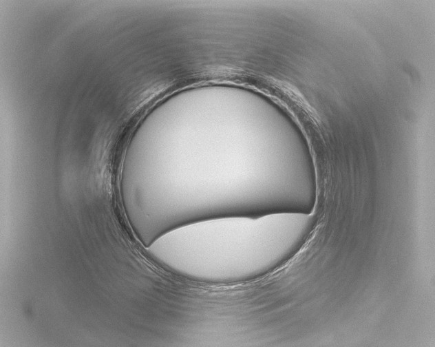 X0000116771209200912171124