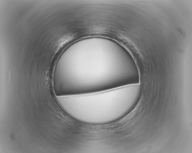X0000116771210200912171124