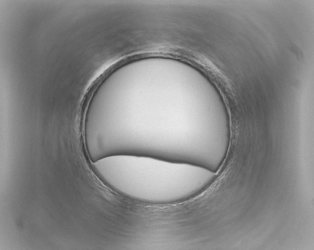X0000116771216200912171124