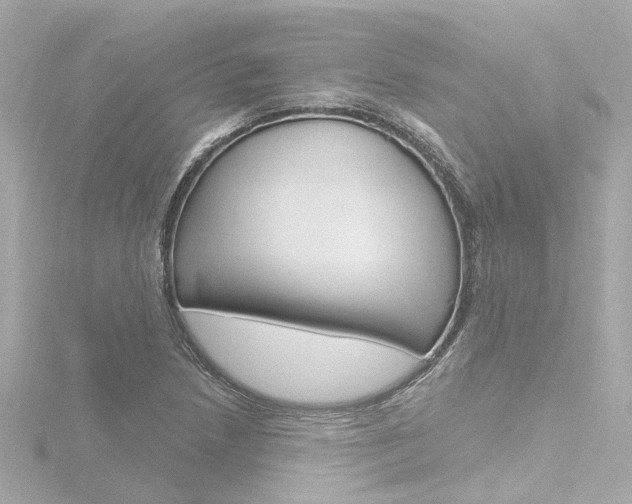 X0000116771218200912171124