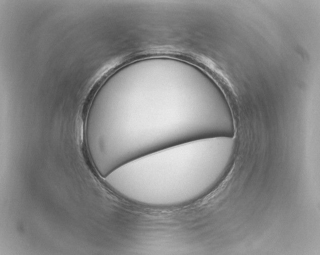 X0000116771221200912171124