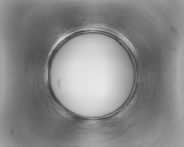 X0000116771224200912171124