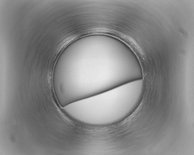 X0000116771225200912171124