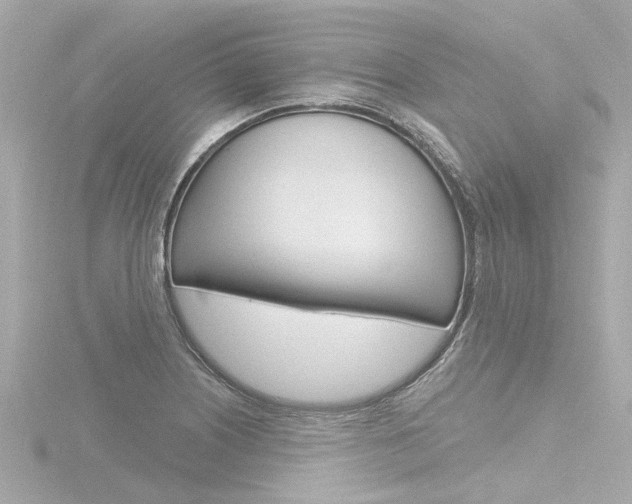 X0000116771226200912171124