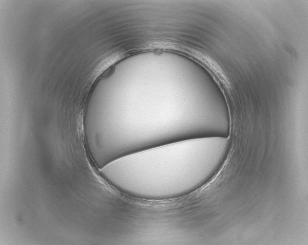 X0000116771241200912171124
