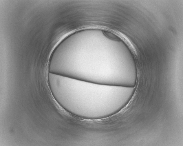 X0000116771244200912171124