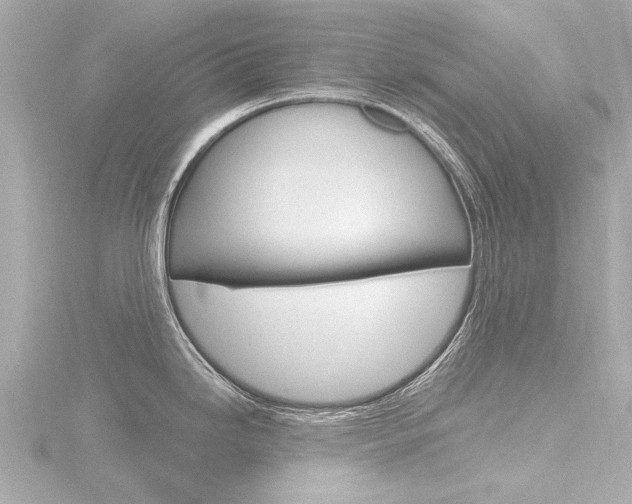 X0000116771246200912171124