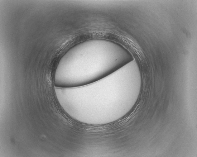 X0000116771252200912171124
