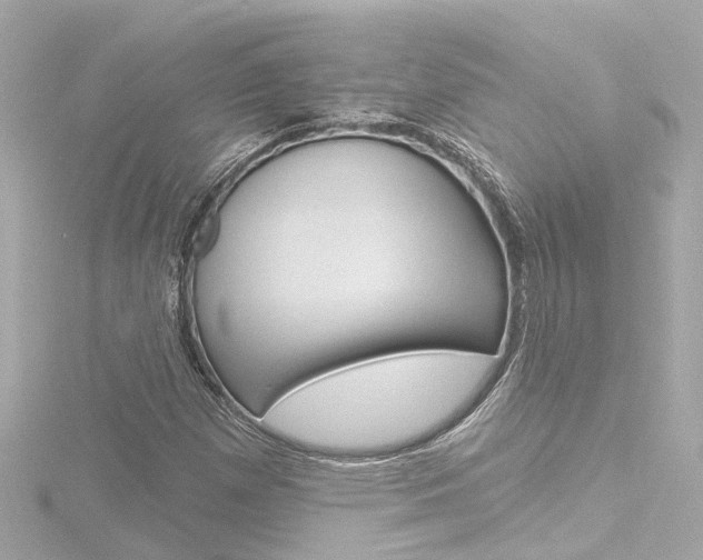 X0000116771257200912171123