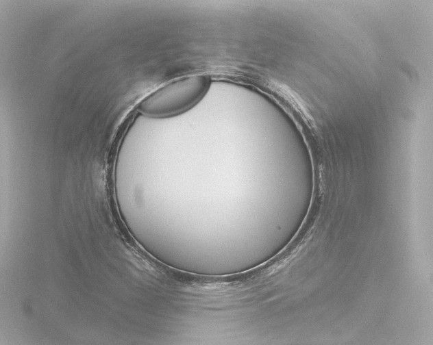 X0000116771260200912171123